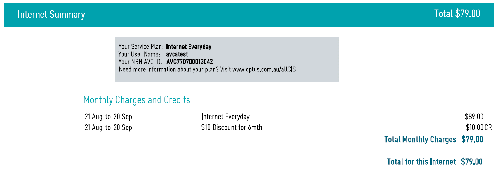 Internet bill summary