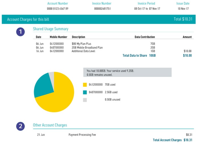 Optus Paper Bill Account Summary Example
